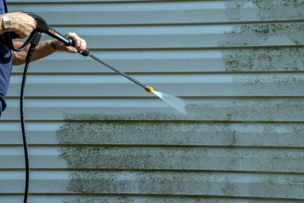 Best Deck Pressure Washing  in Greenvle, IL