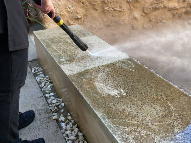 Best Local Pressure Washing Services  in Greenvle, IL